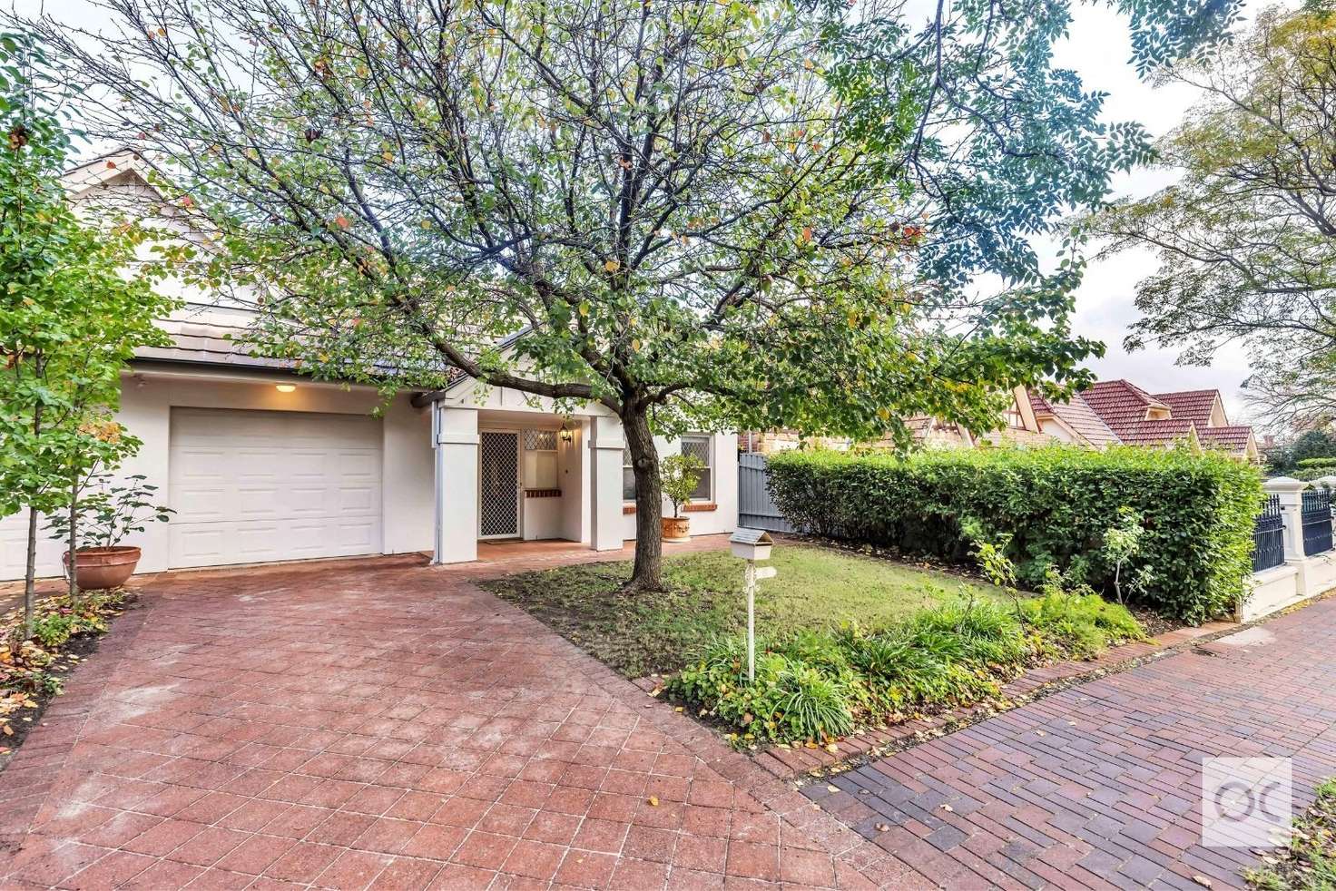 Main view of Homely house listing, 8 Webb Avenue, Glenside SA 5065