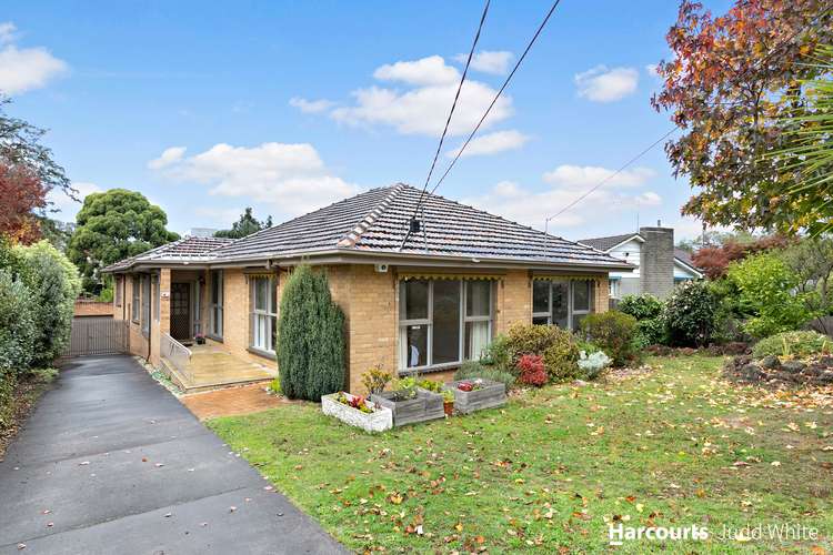 Fifth view of Homely house listing, 20 St Clair Crescent, Mount Waverley VIC 3149