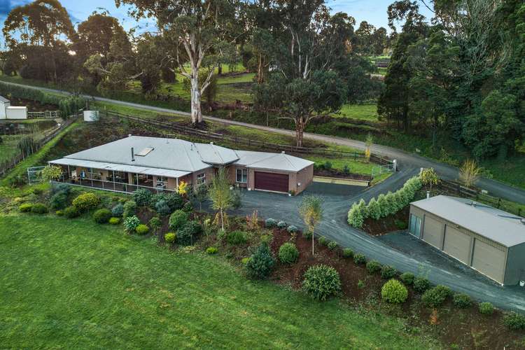 Main view of Homely house listing, 155 Red Road, Gembrook VIC 3783
