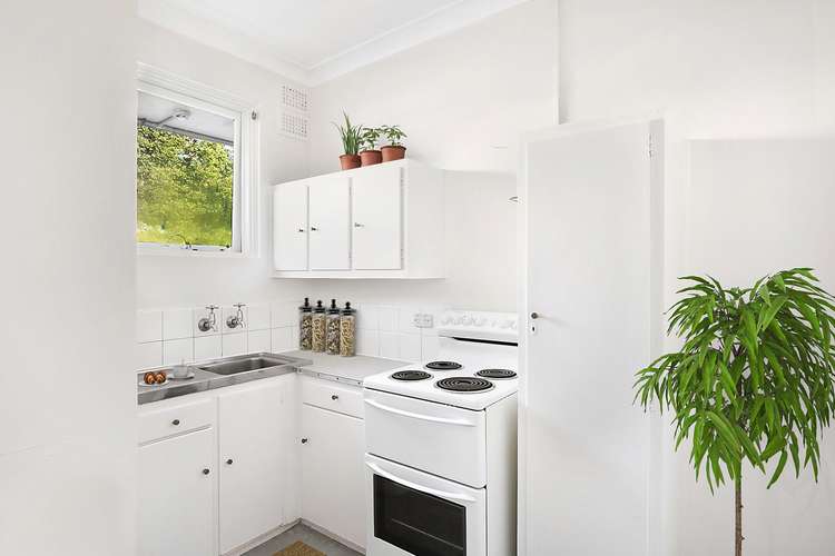 Second view of Homely studio listing, 8/31 Charles Street, Forest Lodge NSW 2037