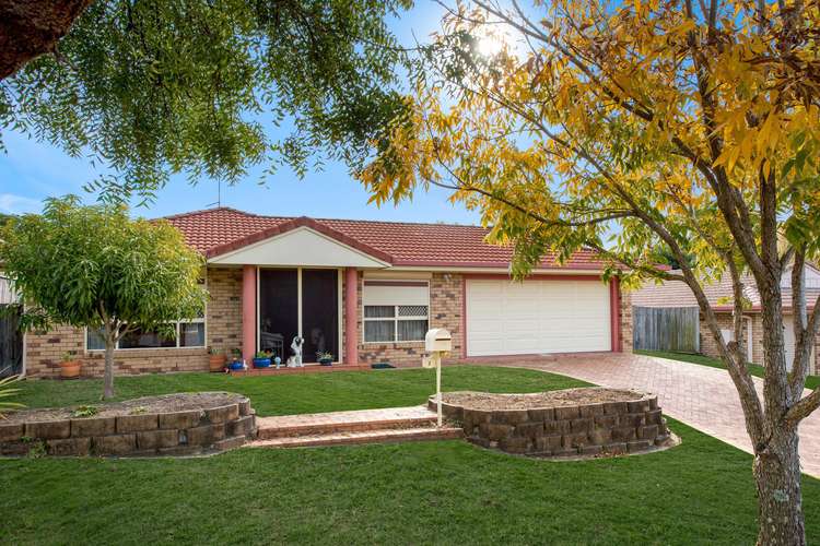 Main view of Homely house listing, 3 Cromwell Court, Alexandra Hills QLD 4161