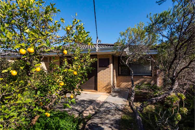 Third view of Homely house listing, 45A Williams Road, Nedlands WA 6009