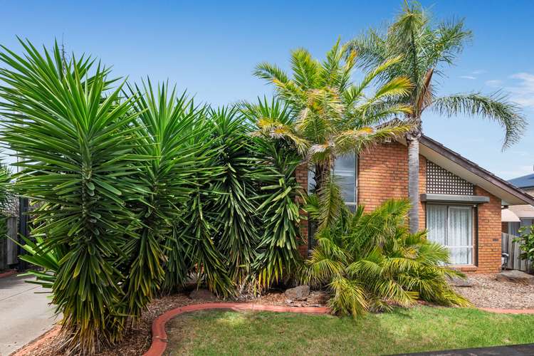 Fourth view of Homely house listing, 32 Catherine Road, Seabrook VIC 3028