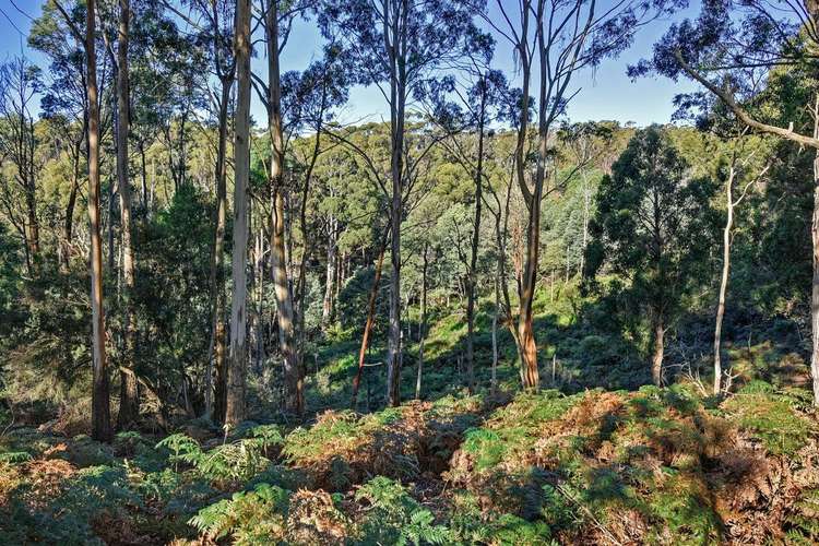 Sixth view of Homely residentialLand listing, Lot C Jones Road, Premaydena TAS 7185