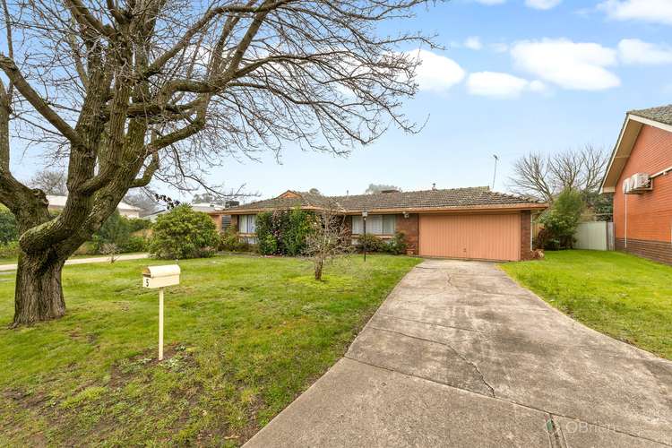Second view of Homely house listing, 5 Roundhay Court, Berwick VIC 3806
