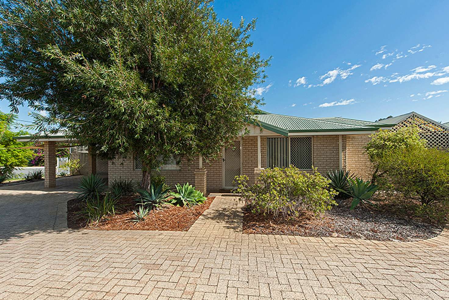 Main view of Homely villa listing, 1/435 Acton Avenue, Kewdale WA 6105