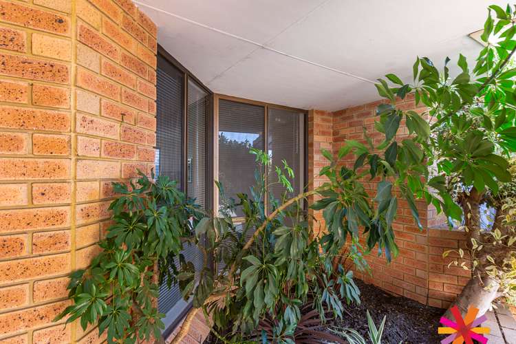 Fifth view of Homely villa listing, 3/10 Beavis Court, Noranda WA 6062