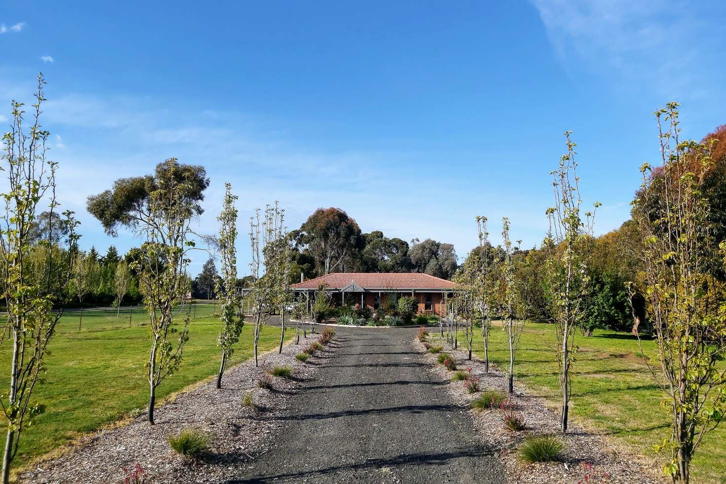 Main view of Homely house listing, 112 Gap Road, Riddells Creek VIC 3431