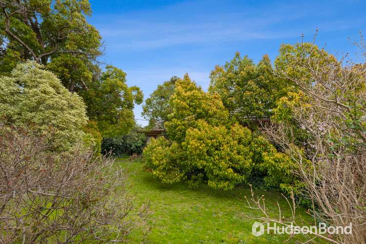 Fifth view of Homely house listing, 16 Gardenia Road, Balwyn North VIC 3104