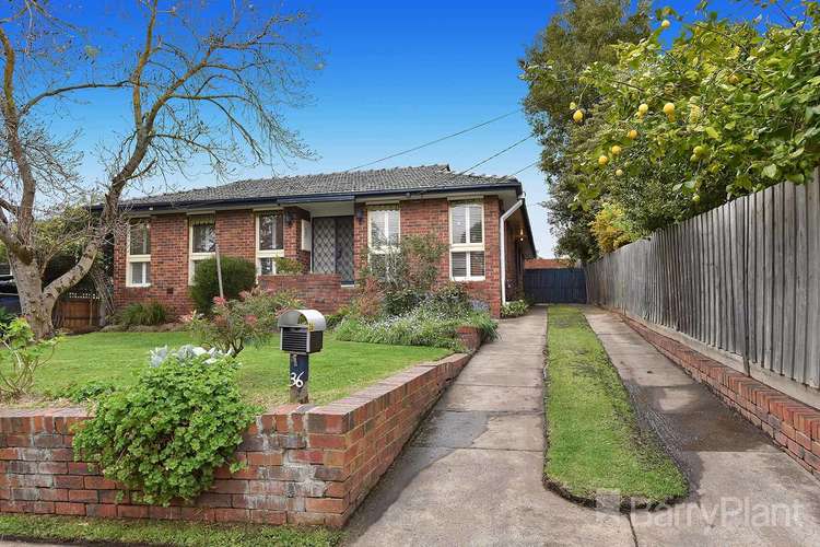 36 Yertchuk Avenue, Ashwood VIC 3147