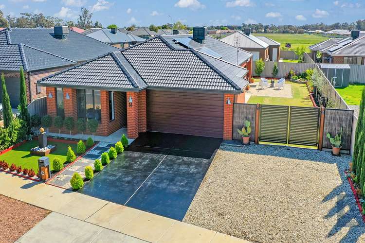 Fifth view of Homely house listing, 14 Magnolia Drive, Echuca VIC 3564