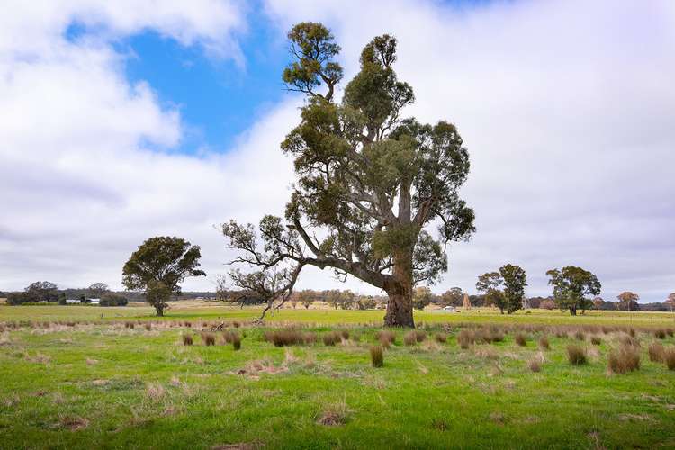 Fourth view of Homely residentialLand listing, LOT 1, Part 189 Walmer Road, Muckleford VIC 3451