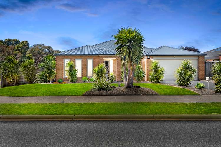 Main view of Homely house listing, 21 Parkedge Circuit, Rosebud VIC 3939