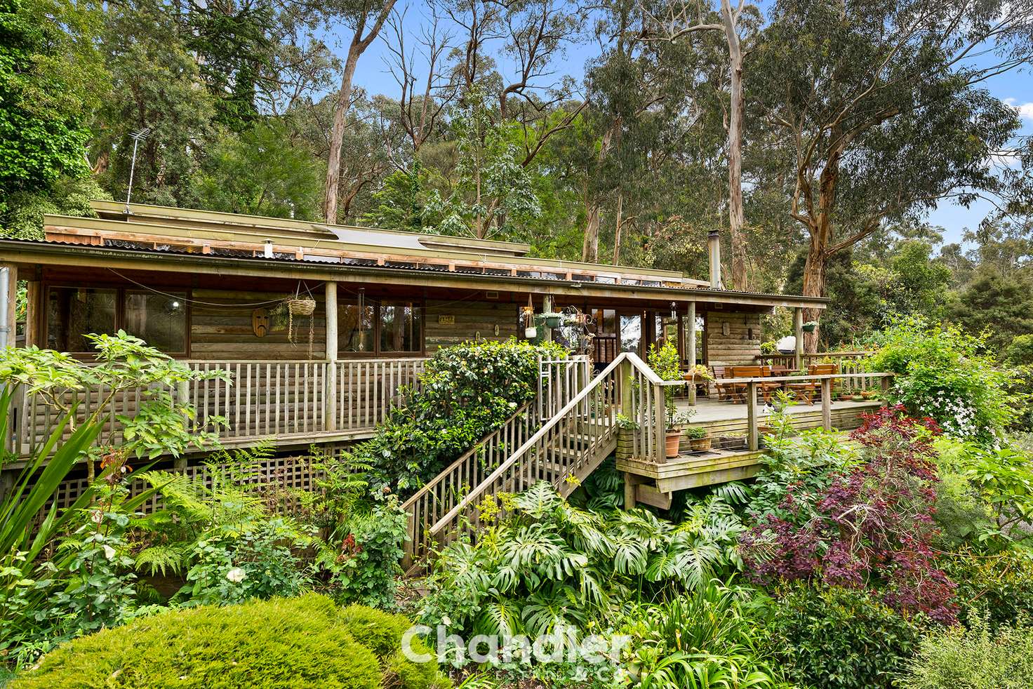 Main view of Homely house listing, 56 Hazelvale Road, Tecoma VIC 3160