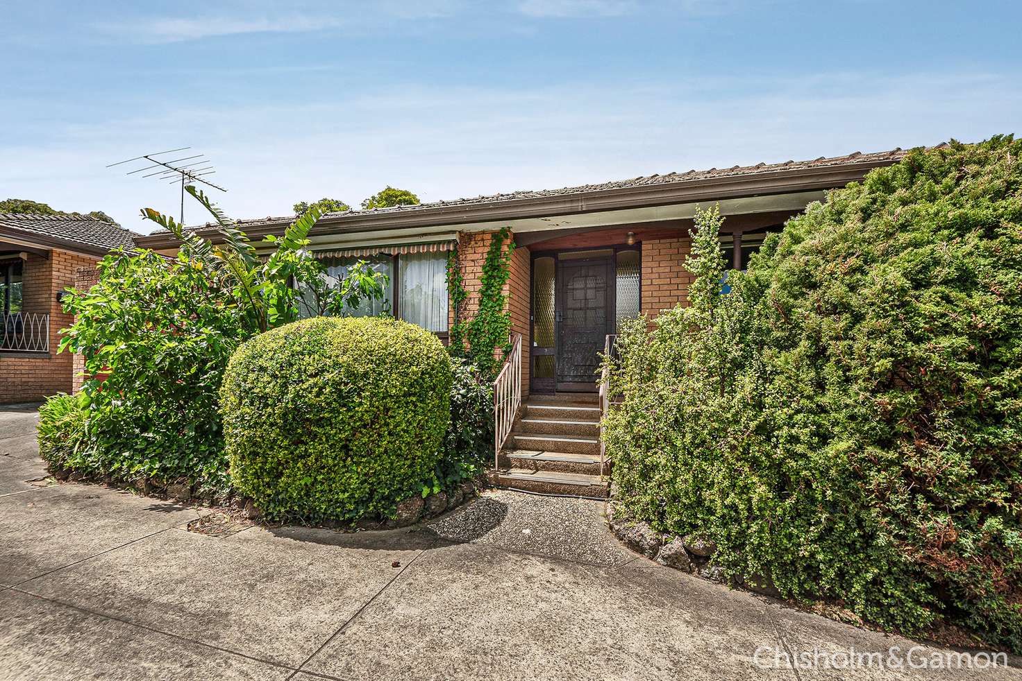 Main view of Homely villa listing, 3/232 Belmore Road, Balwyn North VIC 3104