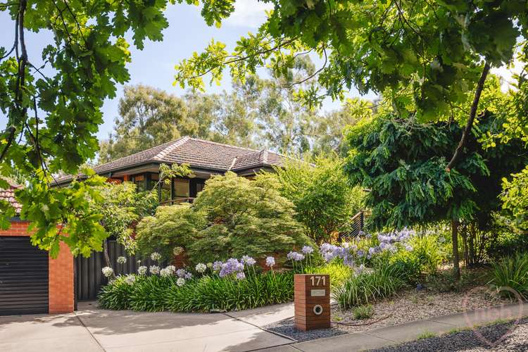 Main view of Homely house listing, 171 Wattle Street, O'connor ACT 2602