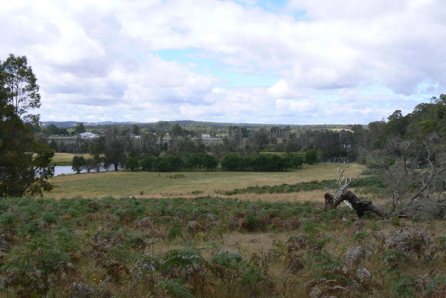 Main view of Homely lifestyle listing, Lot 100 Irishtown Road, Donnybrook WA 6239