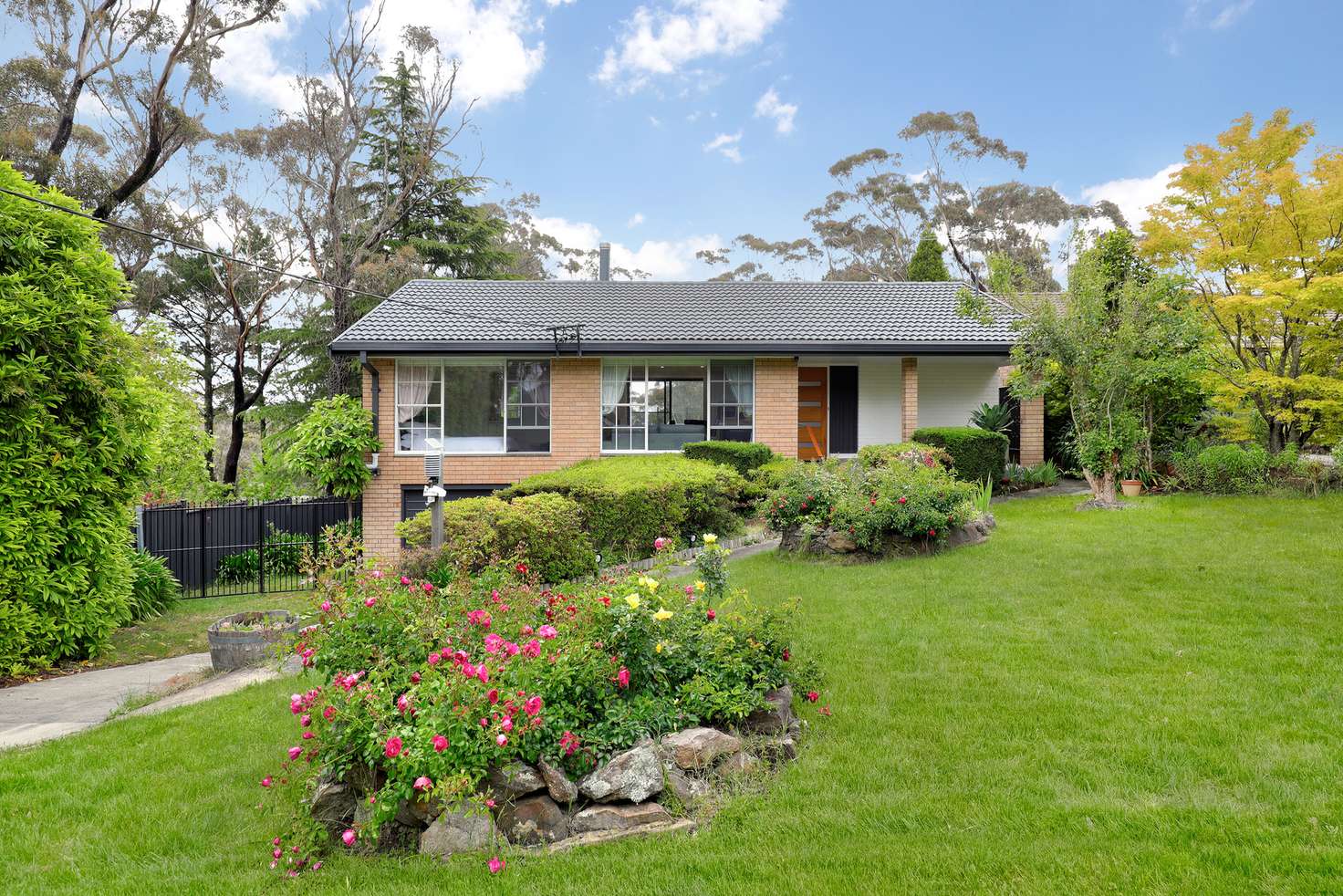 Main view of Homely house listing, 153 Narrow Neck Road, Katoomba NSW 2780