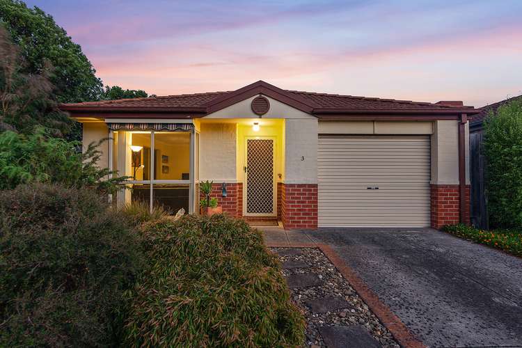 3 Francis Crescent, Langwarrin VIC 3910