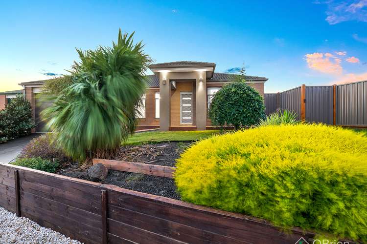 Main view of Homely house listing, 5 Maltby Court, Berwick VIC 3806