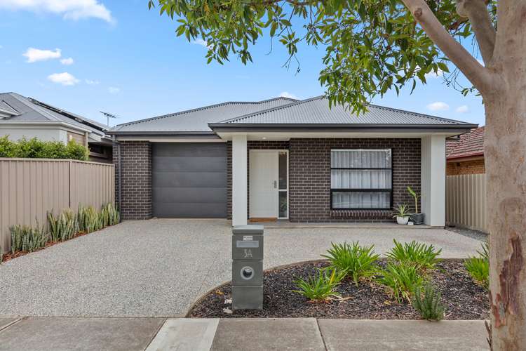 3A Whelan Avenue, Camden Park SA 5038