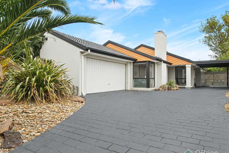 4 Dryad Court, Chelsea Heights VIC 3196