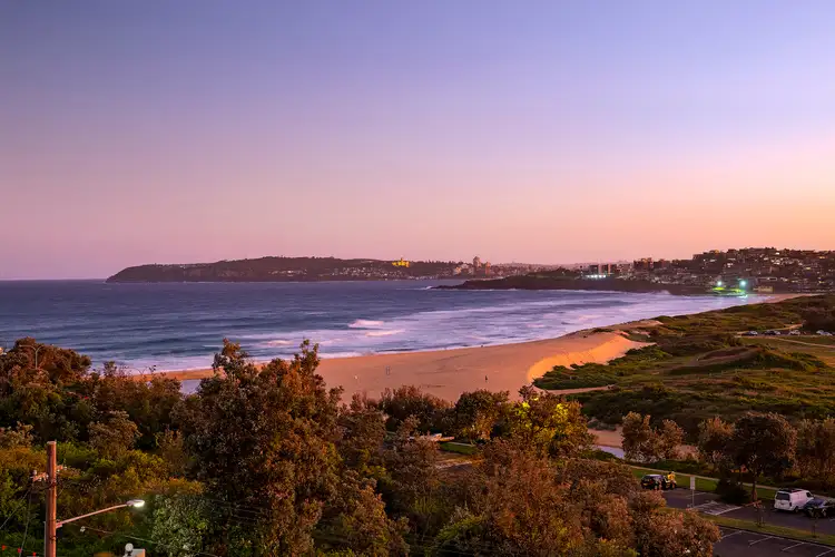 Fifth view of Homely house listing, 14 Taylor Street, North Curl Curl NSW 2099