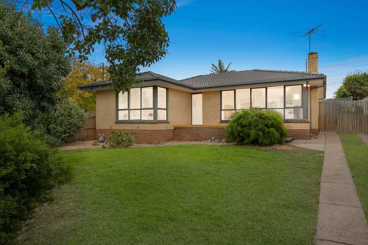 Main view of Homely house listing, 84 Belle Vue Avenue, Highton VIC 3216
