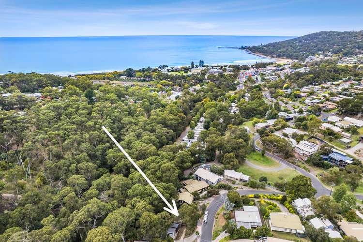 10 Richardson Boulevard, Lorne VIC 3232