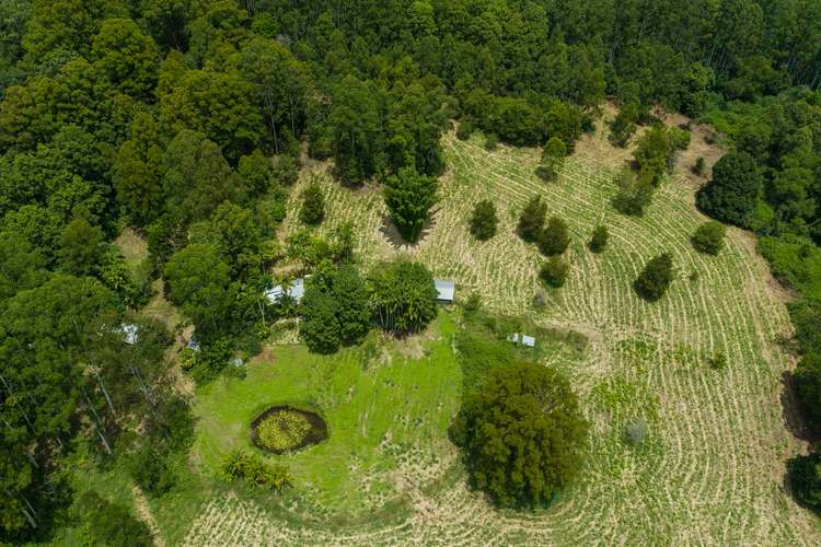 Fifth view of Homely acreageSemiRural listing, 1 Betterridge Road, Nimbin NSW 2480