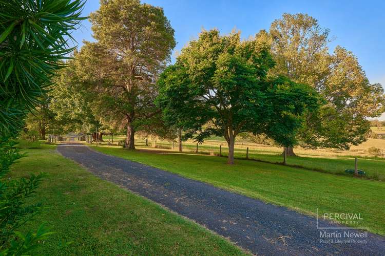 Fifth view of Homely ruralOther listing, 51 North Branch Road, Upsalls Creek NSW 2439