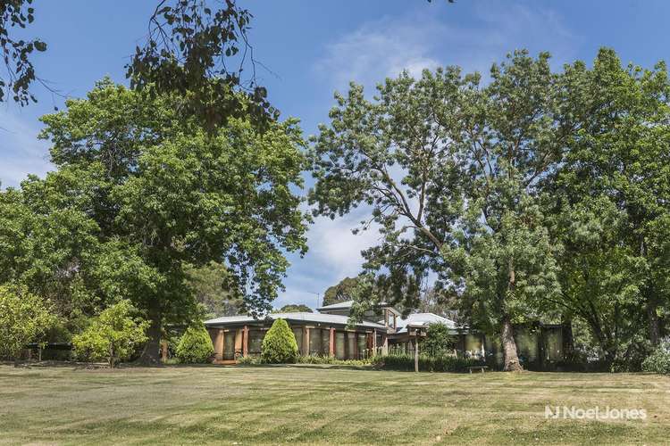 Fifth view of Homely house listing, 10 Sandhurst Grove, Warranwood VIC 3134