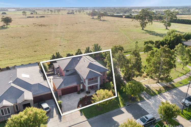Fifth view of Homely house listing, 51 Galilee Drive, Sandhurst VIC 3977