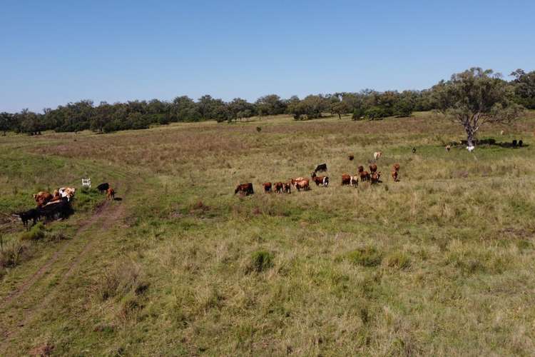 Fourth view of Homely ruralOther listing, Lot 1 Kelly Road, Scrubby Mountain QLD 4356