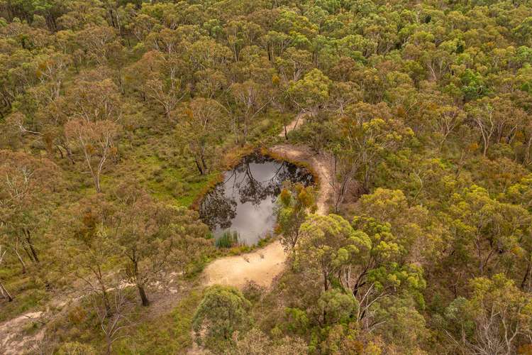 Fourth view of Homely ruralOther listing, 1713 Cope Road, Gulgong NSW 2852