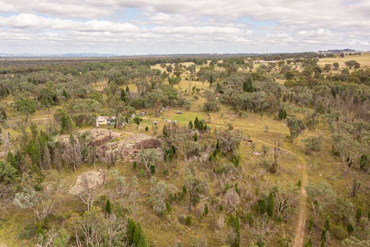 Sixth view of Homely ruralOther listing, 1713 Cope Road, Gulgong NSW 2852