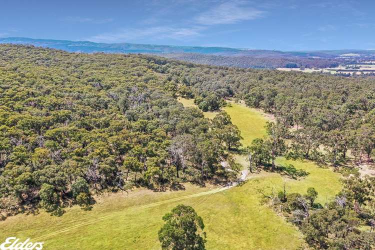 813 Tarra Valley Road, Devon North VIC 3971