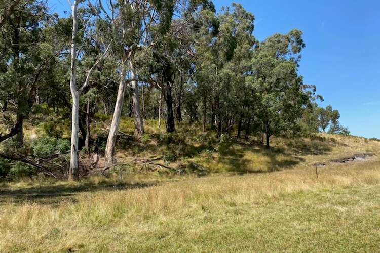 Sixth view of Homely ruralOther listing, 813 Tarra Valley Road, Devon North VIC 3971