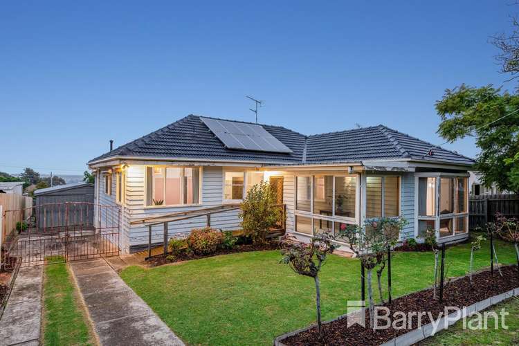 Main view of Homely house listing, 17 Cook Street, Newtown VIC 3220