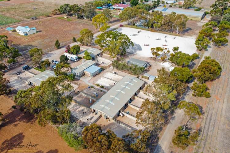 Third view of Homely acreageSemiRural listing, 195 Argent Road, Penfield SA 5121