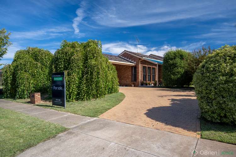 17 Skehan Avenue, Wangaratta VIC 3677