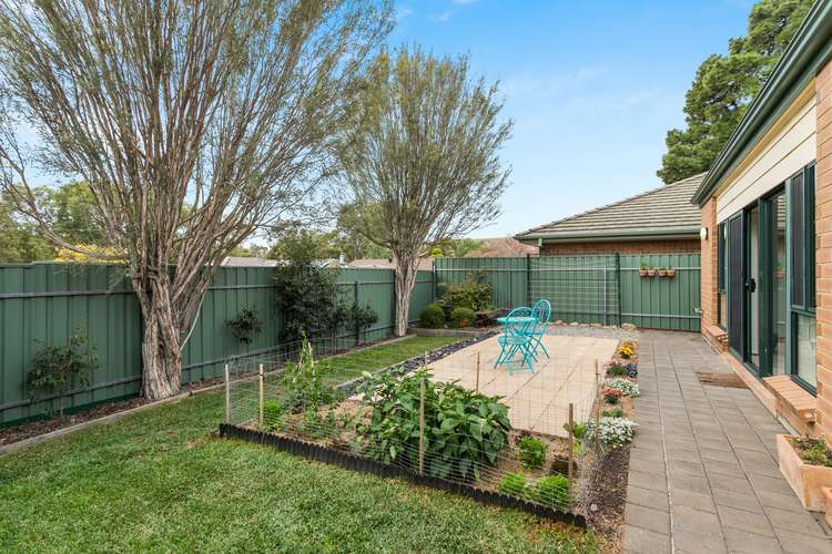 Fifth view of Homely house listing, 7 Wildi Court, Happy Valley SA 5159