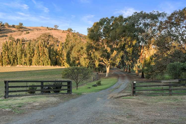 Fourth view of Homely lifestyle listing, 235 Sugarloaf Road, Sheans Creek VIC 3666