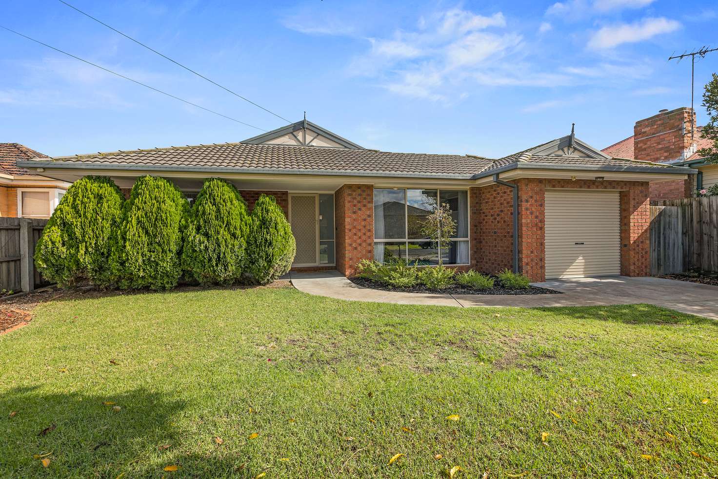 Main view of Homely house listing, 37 Giddings Street, North Geelong VIC 3215