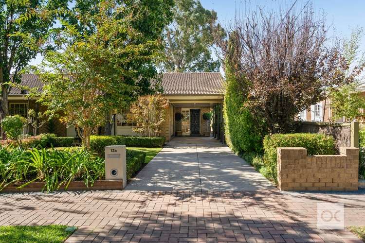 Main view of Homely house listing, 12a Peroomba Avenue, Kensington Gardens SA 5068