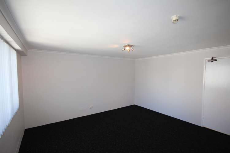 Fourth view of Homely studio listing, 804/79 Oxford Street, Bondi Junction NSW 2022