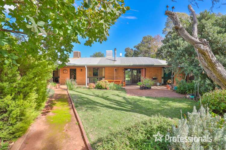 Second view of Homely ruralOther listing, 576 Anzac Road, Robinvale VIC 3549