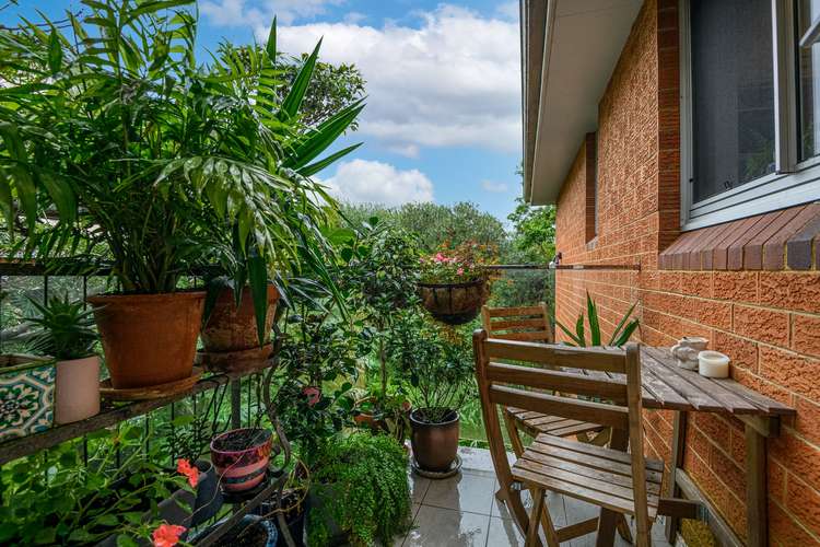 Fifth view of Homely apartment listing, 8/18 Evans Street, Freshwater NSW 2096