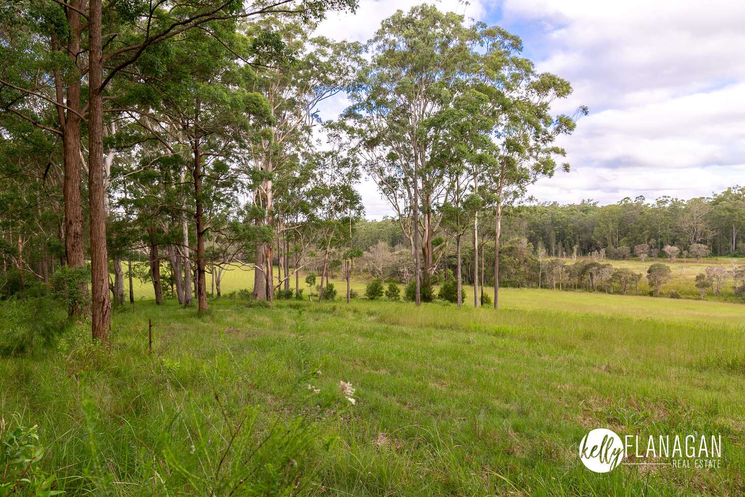 Main view of Homely ruralOther listing, Lot 176 Jocks Road, Collombatti NSW 2440