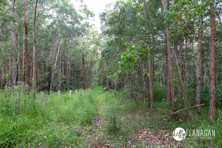 Seventh view of Homely ruralOther listing, Lot 176 Jocks Road, Collombatti NSW 2440